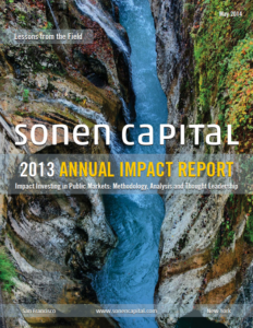 2013 Annual Impact Report